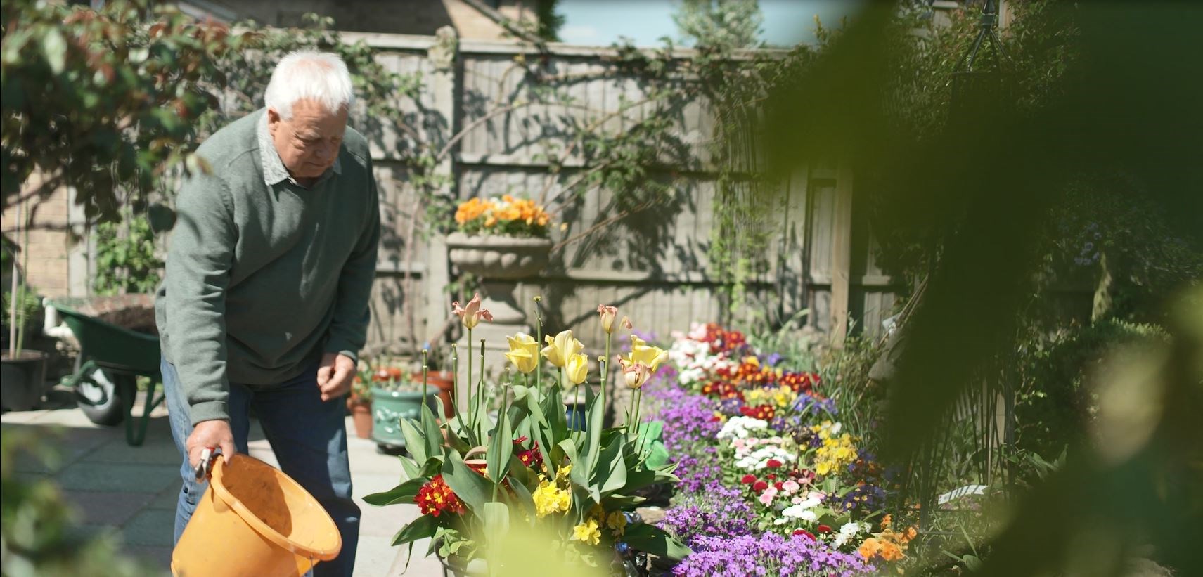 Older man watering flowers in his garden