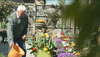 Older man watering flowers in his garden